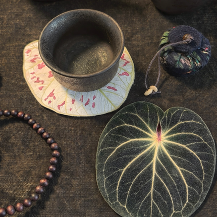 Aroids Coasters