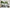 Monstera Esqueleto *Multiple Available Random Selection*