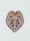 Tropical Leaf Magnet — Anthurium Series