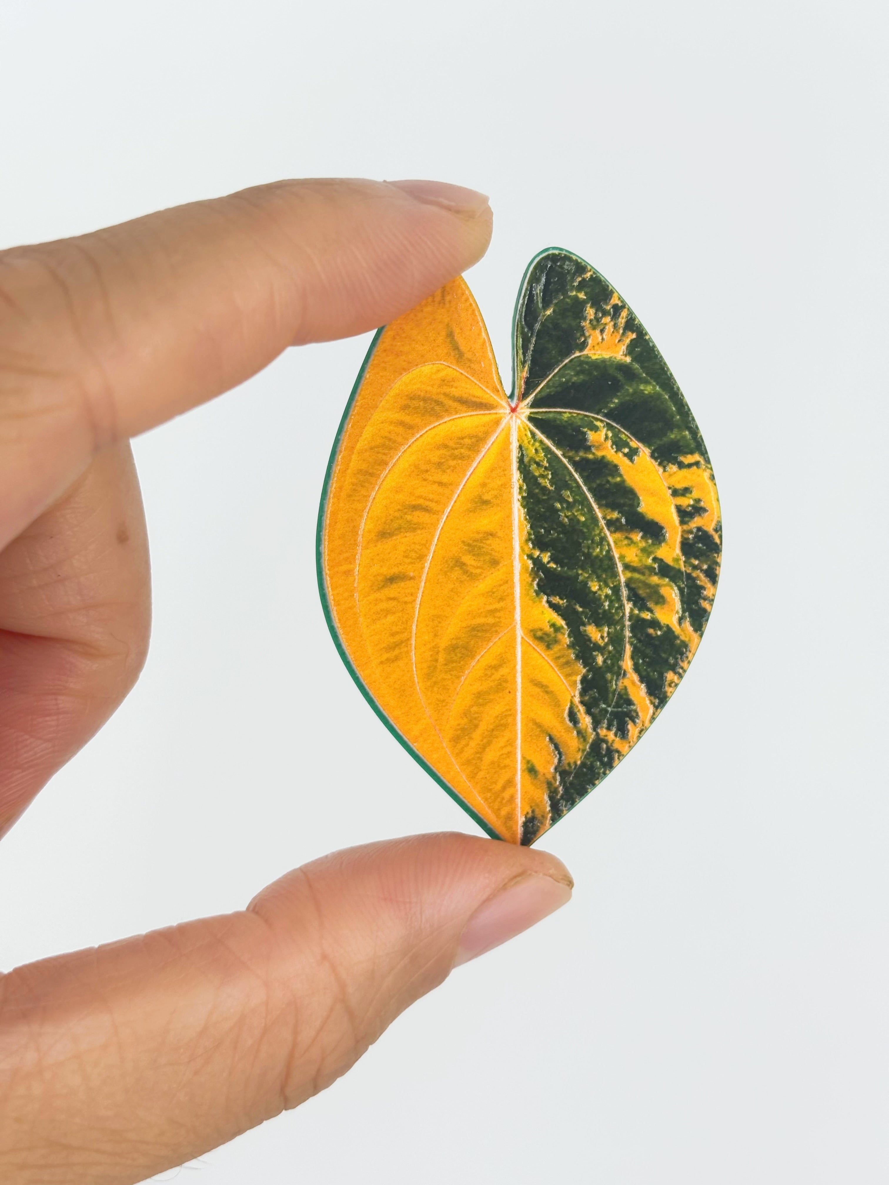 Tropical Leaf Magnet — Anthurium Series
