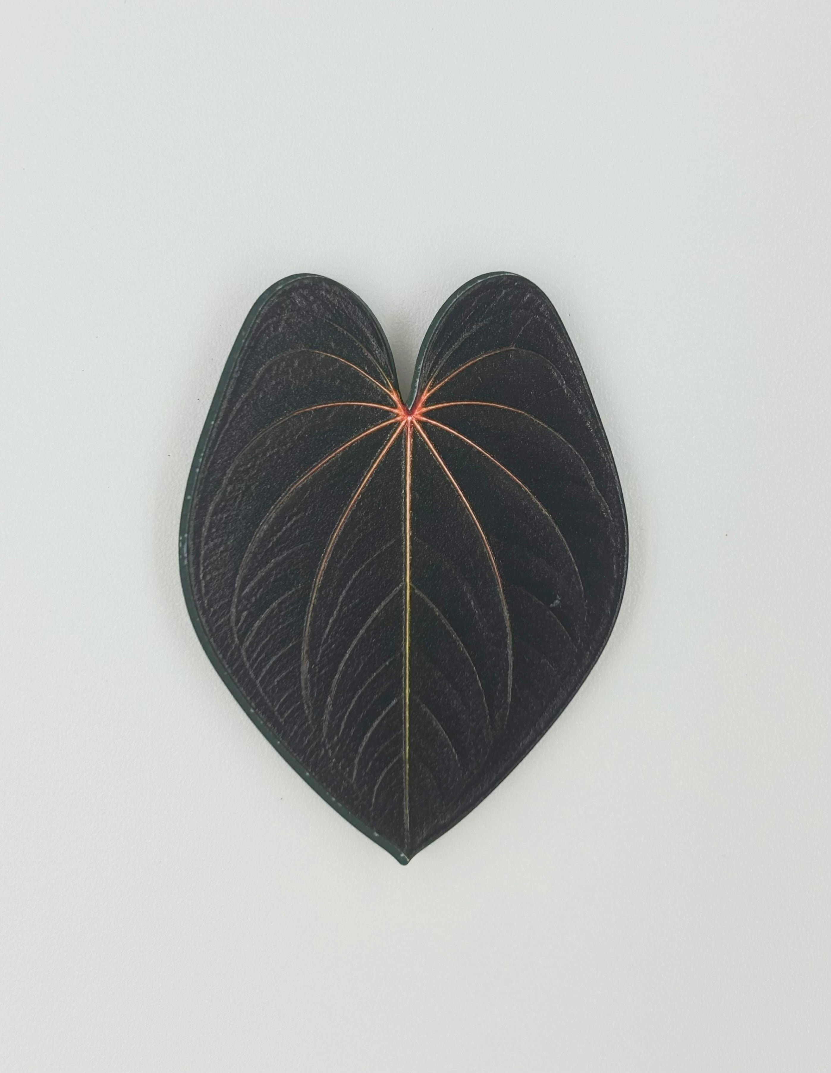 Tropical Leaf Magnet — Anthurium Series