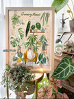 Tropical Art Print by ListLee – A4 (Unframed)@BC Warehouse