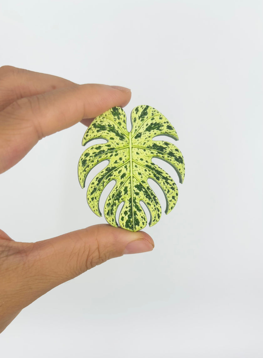Tropical Leaf Magnet — Monstera Series