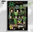 Tropical Art Print by ListLee – A4 (Unframed)@BC Warehouse