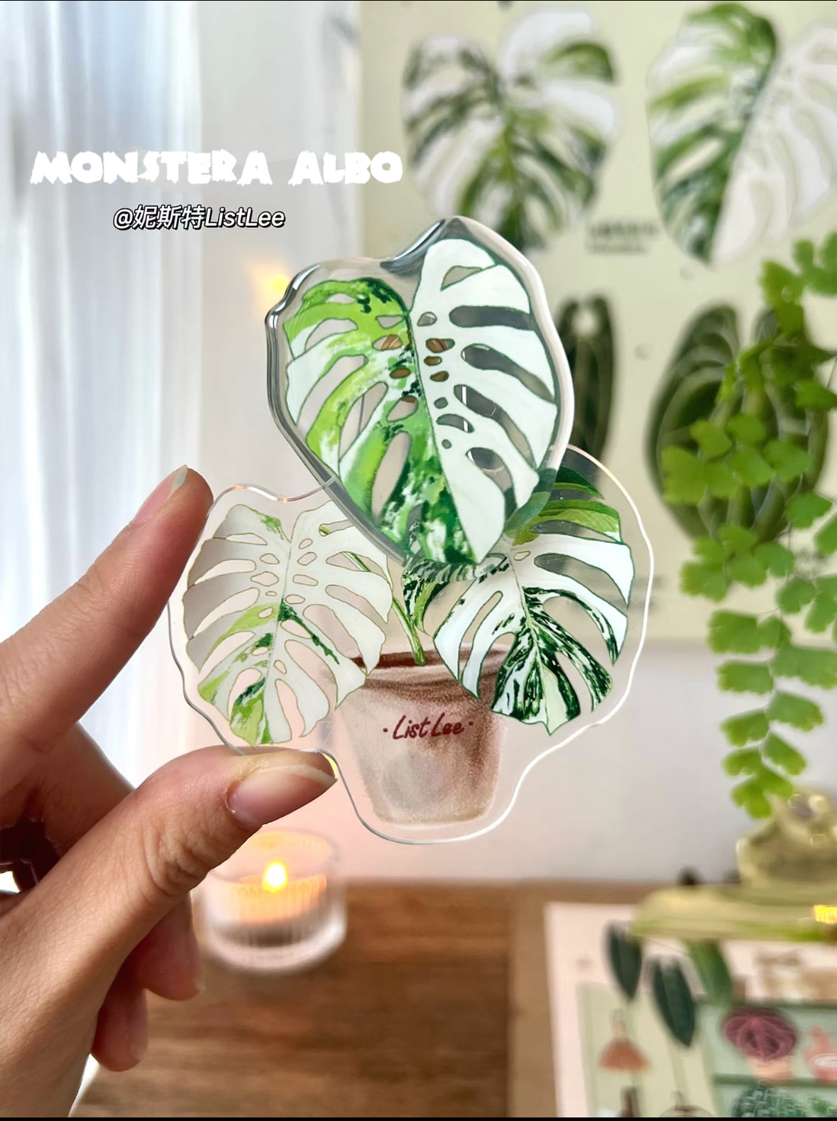 Botanical Mystery Magnet Box@BC Warehouse