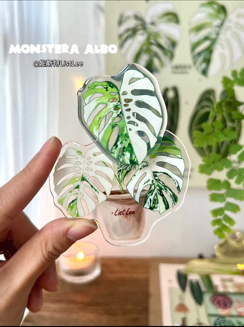 Botanical Mystery Magnet Box@BC Warehouse
