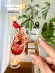Botanical Mystery Magnet Box@BC Warehouse