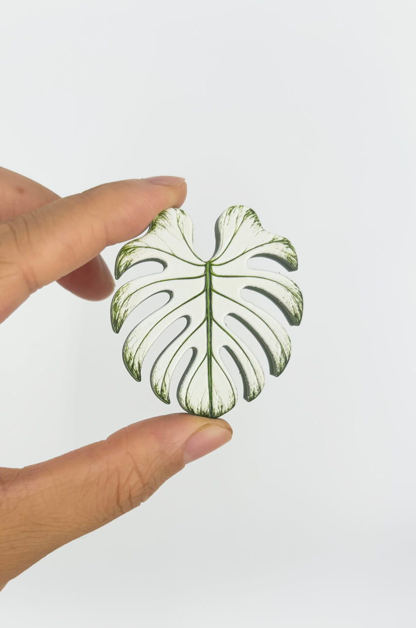 Tropical Leaf Magnet — Monstera Series