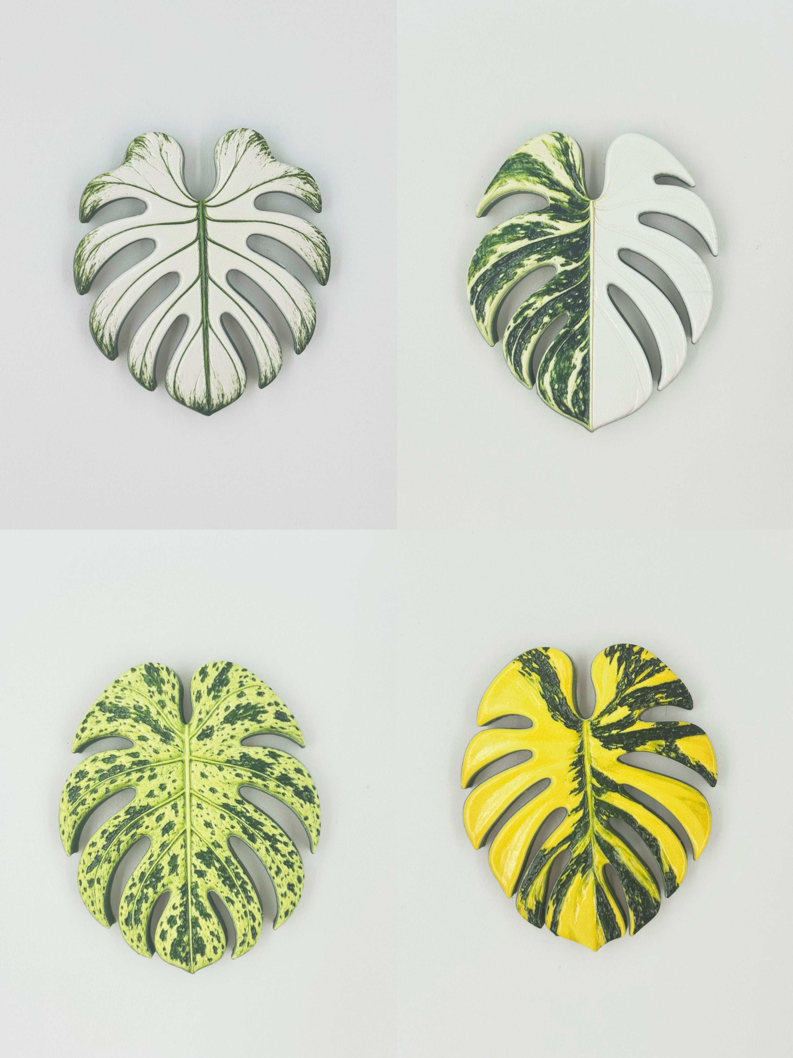 Tropical Leaf Magnet — Monstera Series