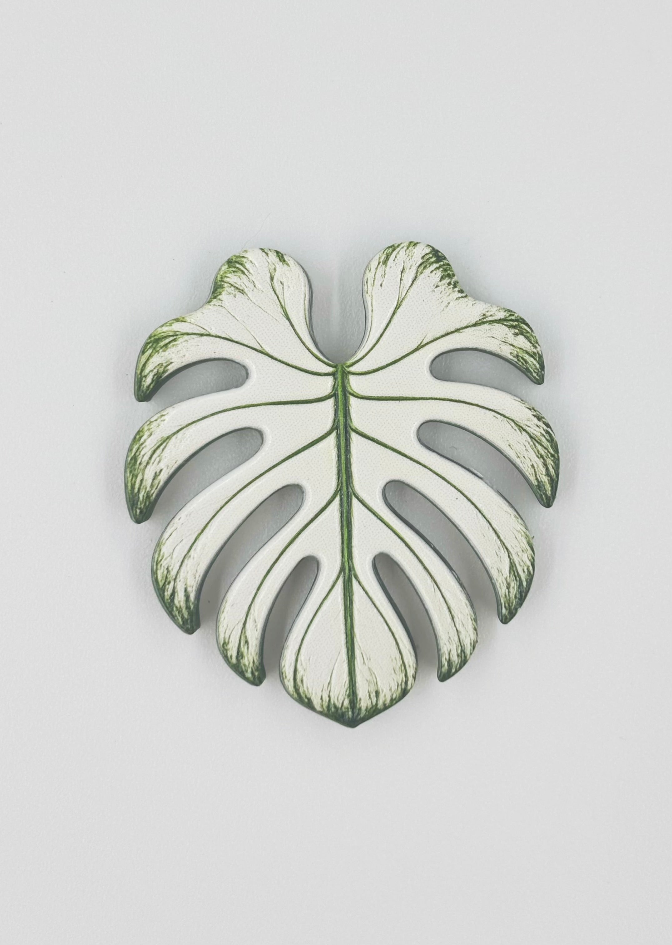 Tropical Leaf Magnet — Monstera Series