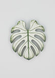 Tropical Leaf Magnet — Monstera Series