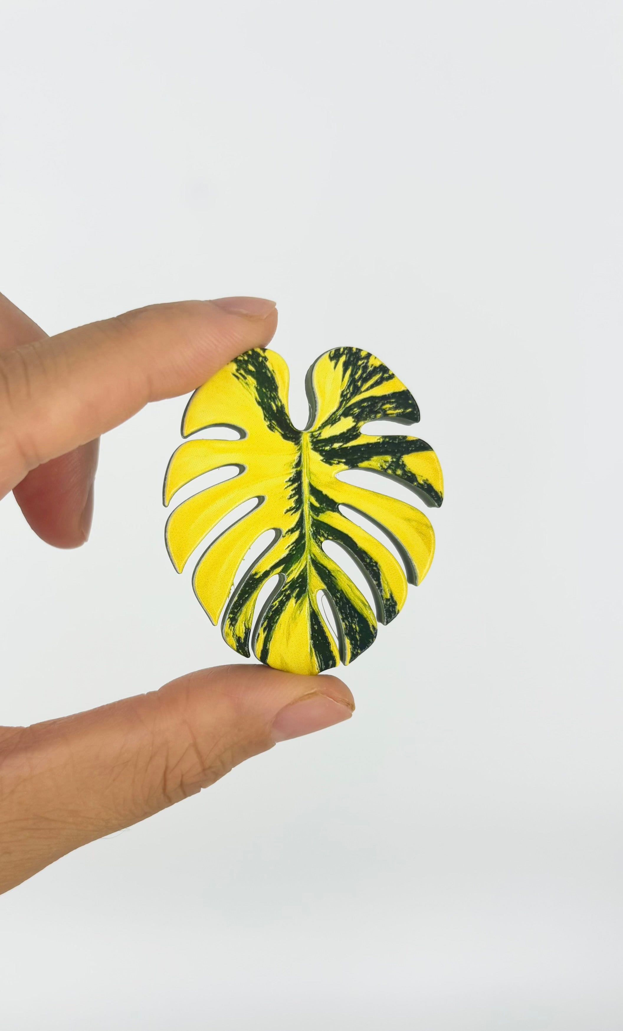 Tropical Leaf Magnet — Monstera Series