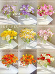 Freesia Double Mixed-10 bulbs