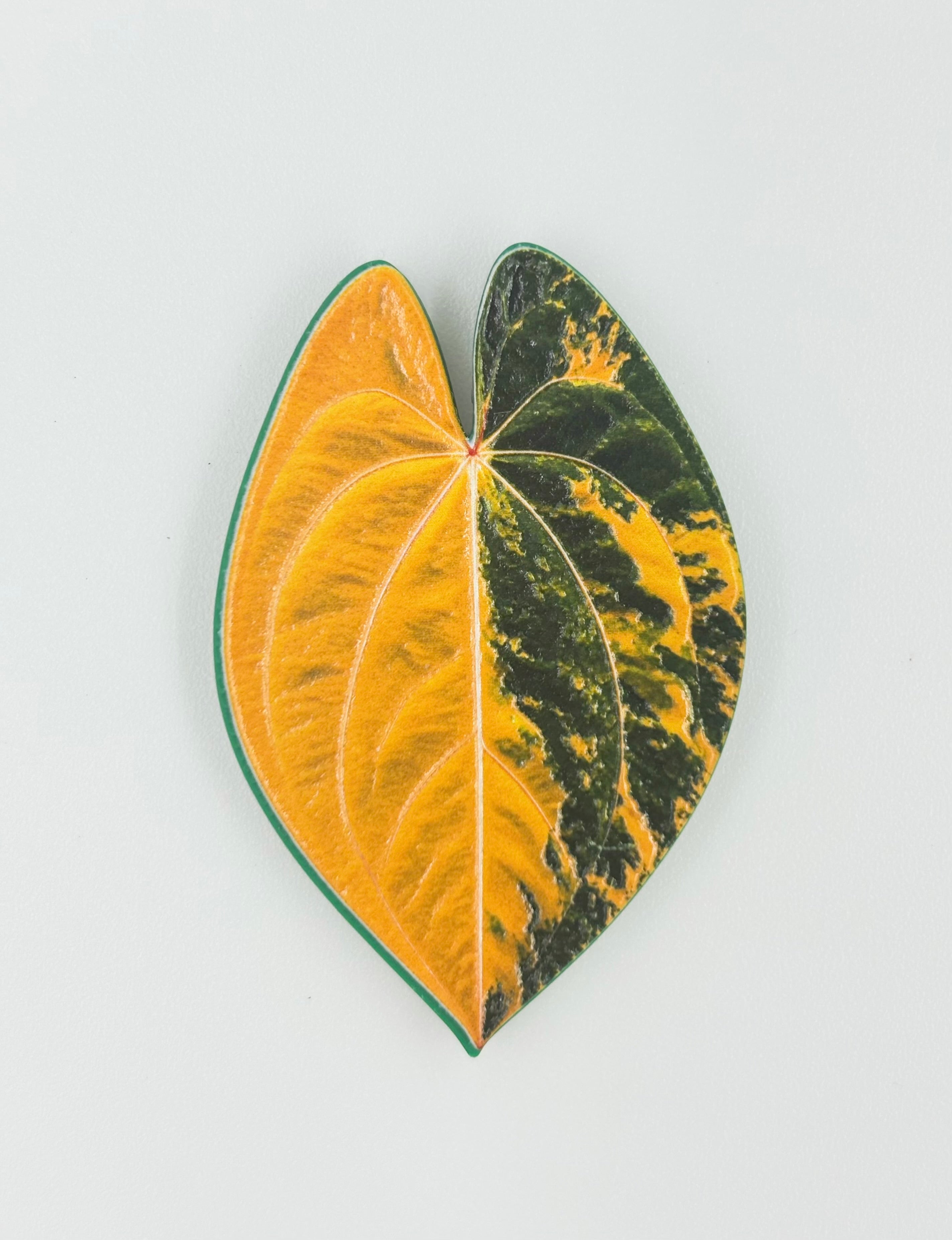 Tropical Leaf Magnet — Anthurium Series