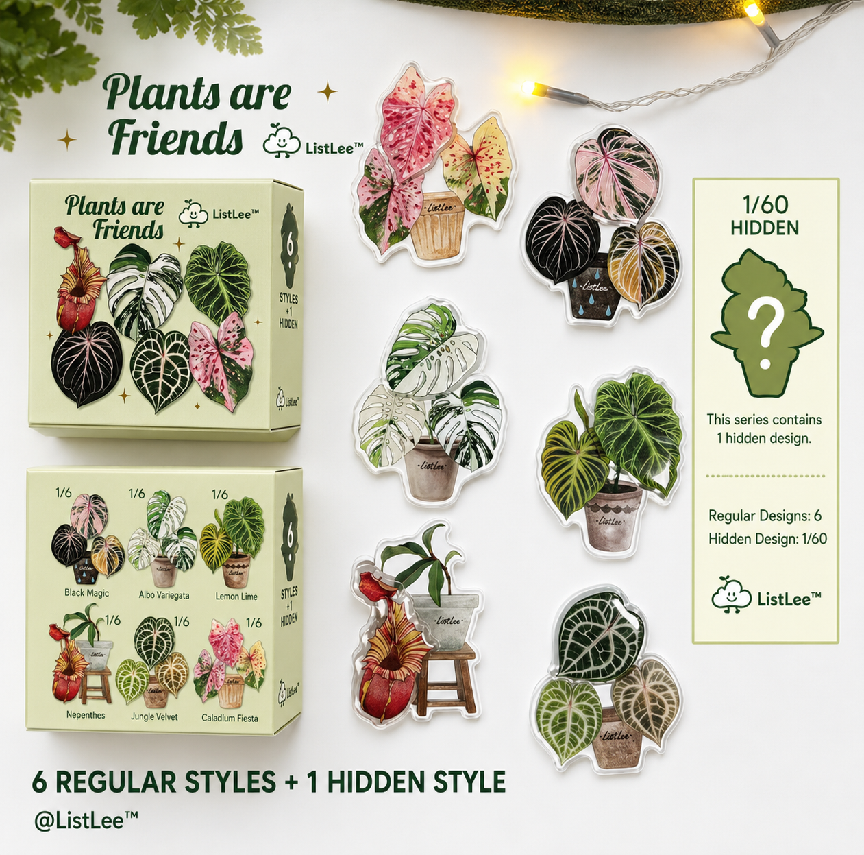 Botanical Mystery Magnet Box@BC Warehouse