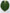 *Grower’s Choice* Anthurium King of Spades KOS