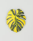Tropical Leaf Magnet — Monstera Series