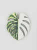 Tropical Leaf Magnet — Monstera Series