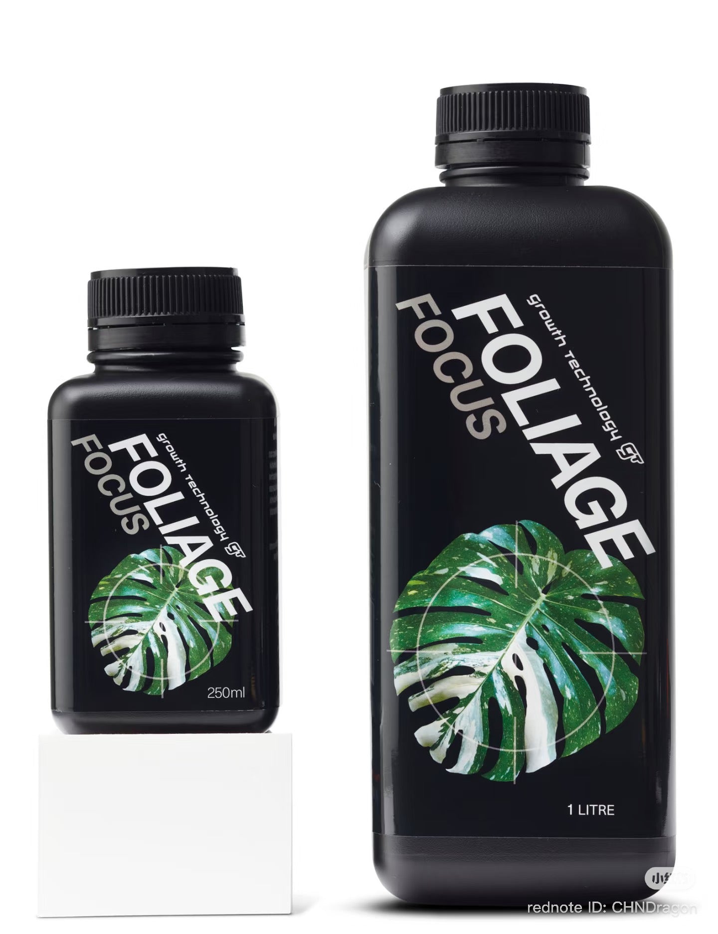 GT Foliage Focus