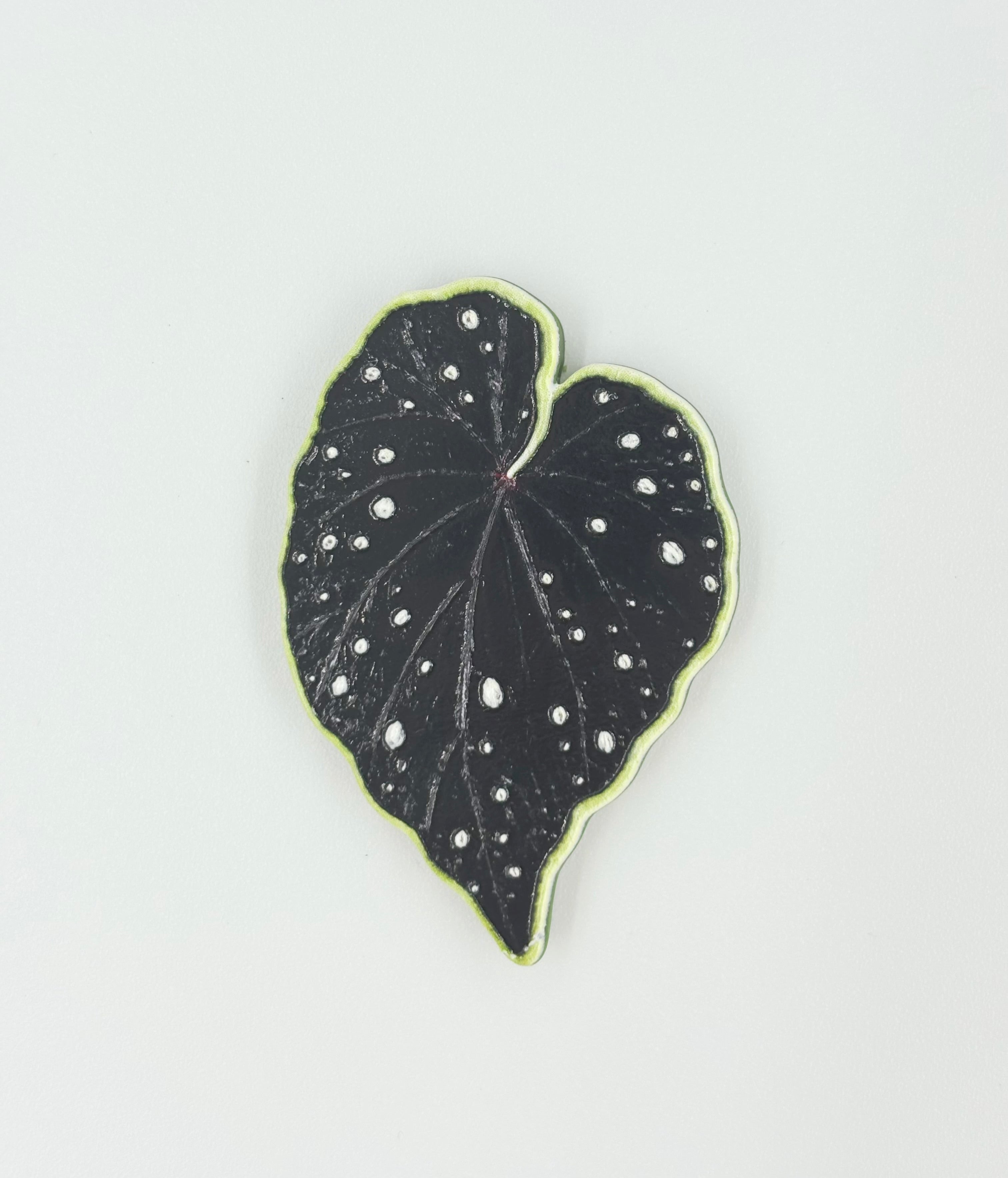 Tropical Leaf Magnet — Begonia Series