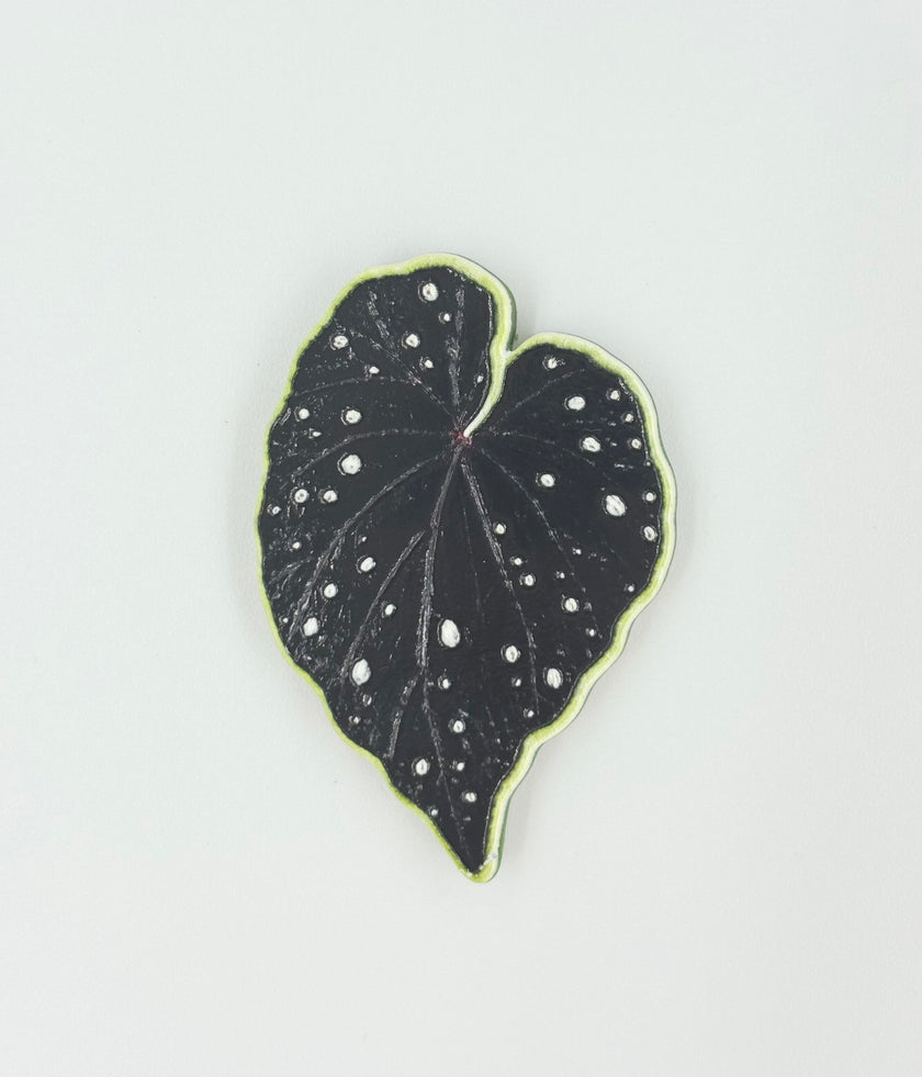 Tropical Leaf Magnet — Begonia Series