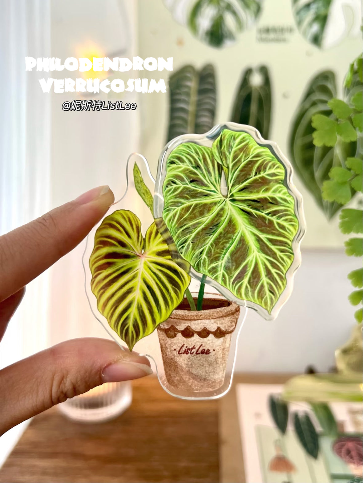 Botanical Mystery Magnet Box@BC Warehouse