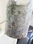 Monstera Albo -Japan *Pick up& GTA Delivery Only* @Markham Warehouse