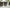 Monstera Esqueleto *Multiple Available Random Selection*