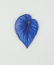 Tropical Leaf Magnet — Begonia Series
