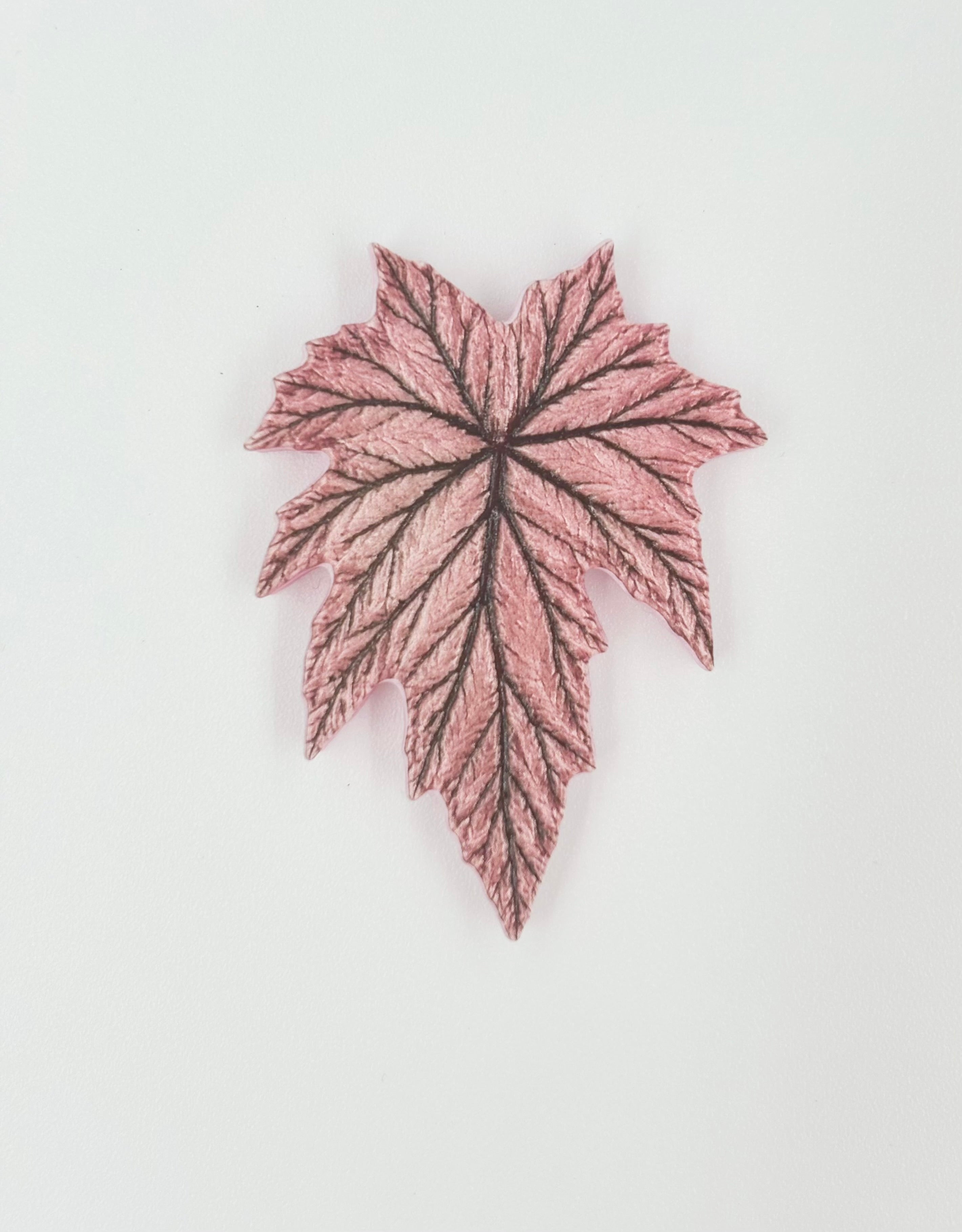 Tropical Leaf Magnet — Begonia Series