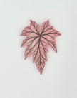 Tropical Leaf Magnet — Begonia Series