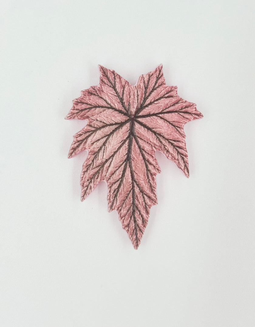 Tropical Leaf Magnet — Begonia Series