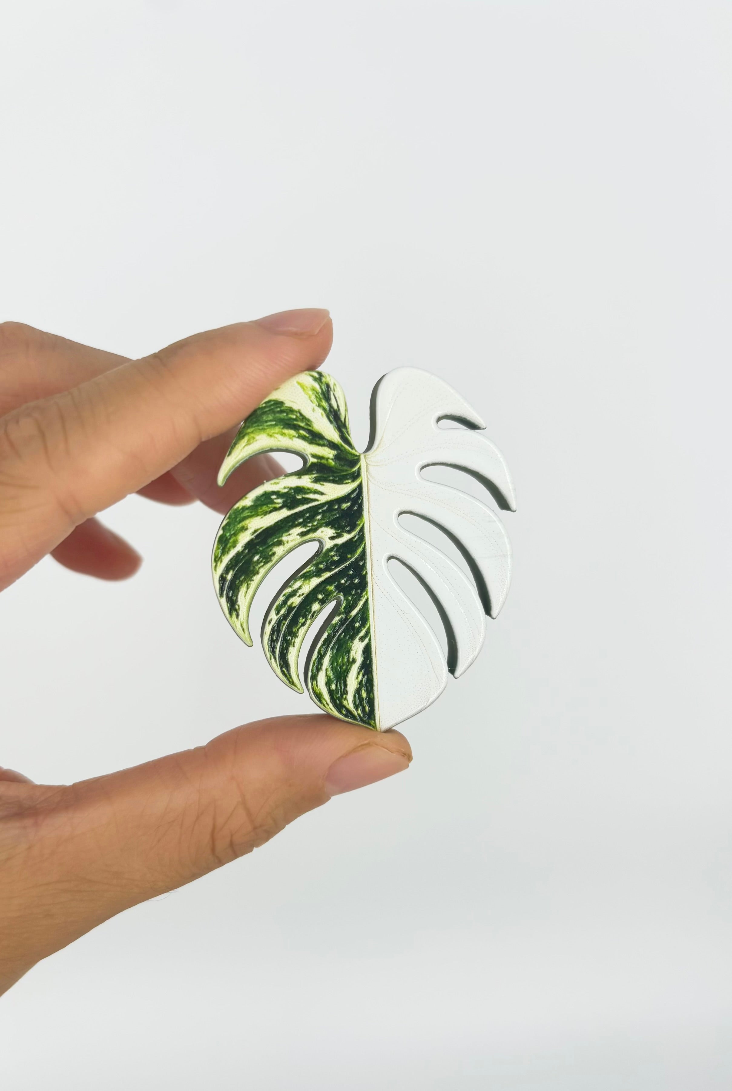 Tropical Leaf Magnet — Monstera Series