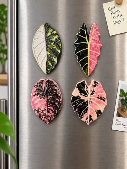 Tropical Leaf Magnet — Alocasia Series