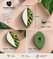 Tropical Leaf Magnet — Alocasia Series