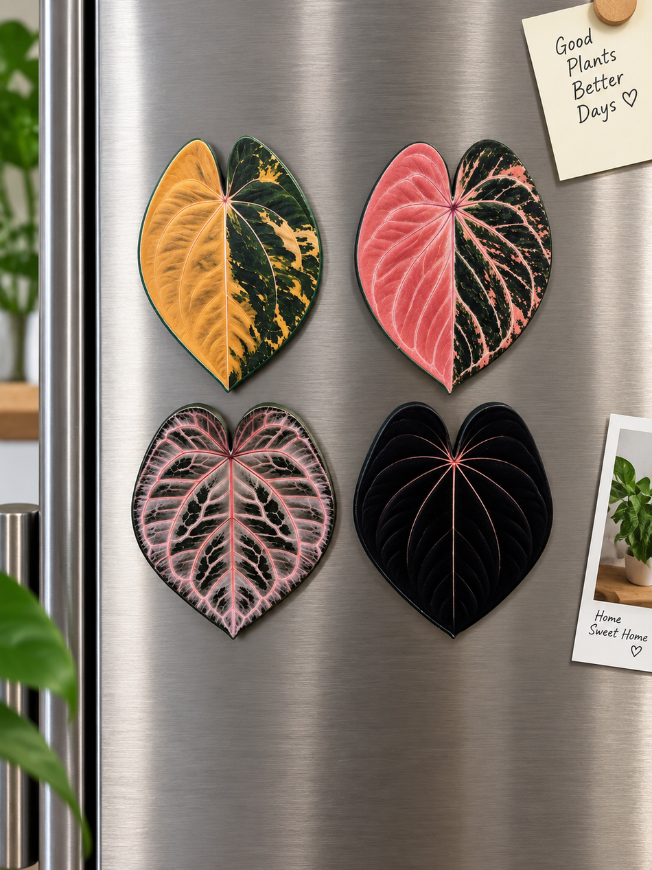 Tropical Leaf Magnet — Anthurium Series