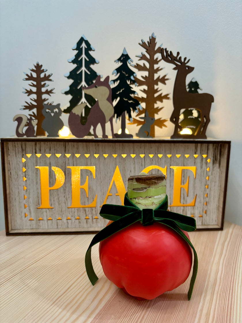 Holiday Amaryllis Bulb Limited Edition