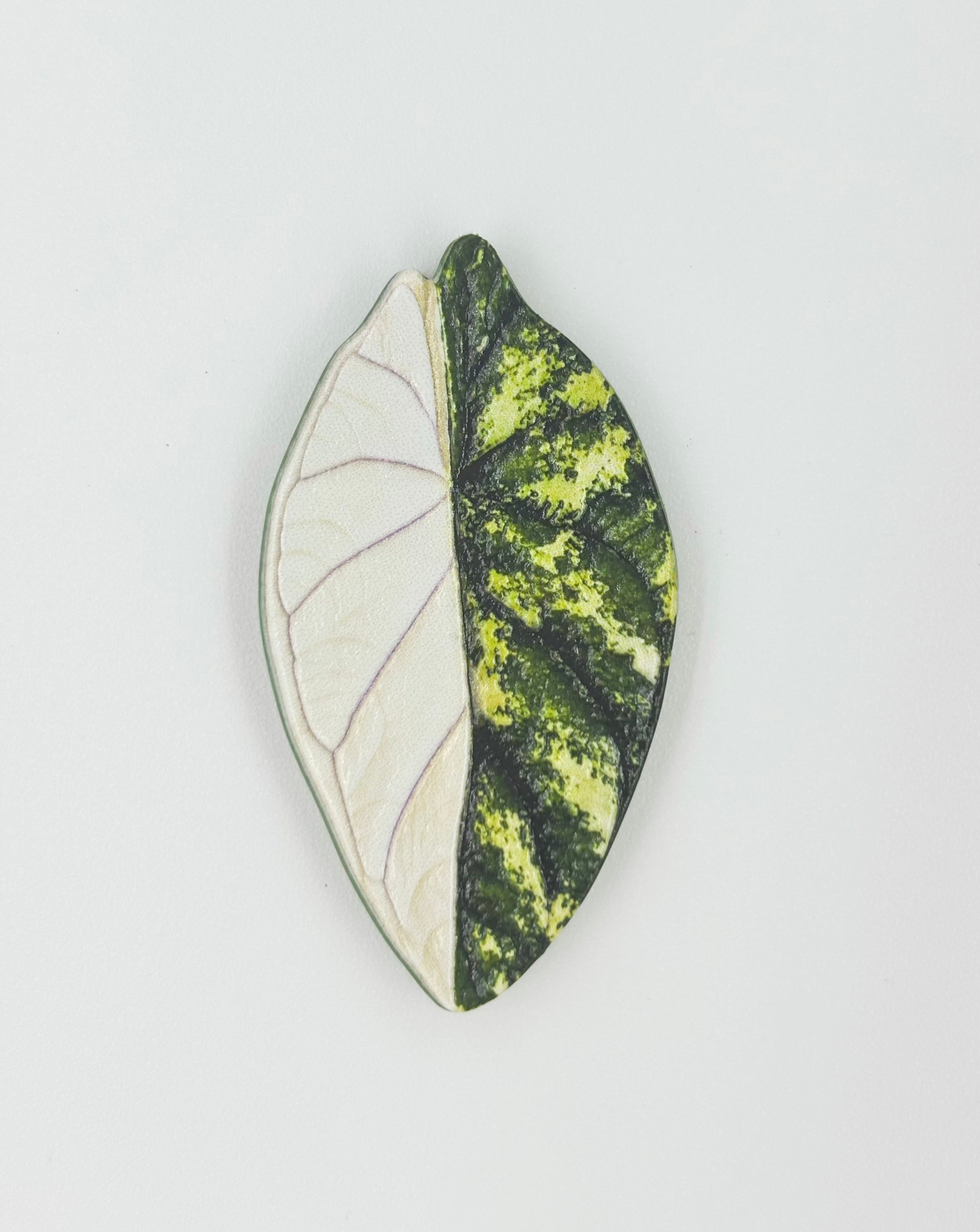 Tropical Leaf Magnet — Alocasia Series