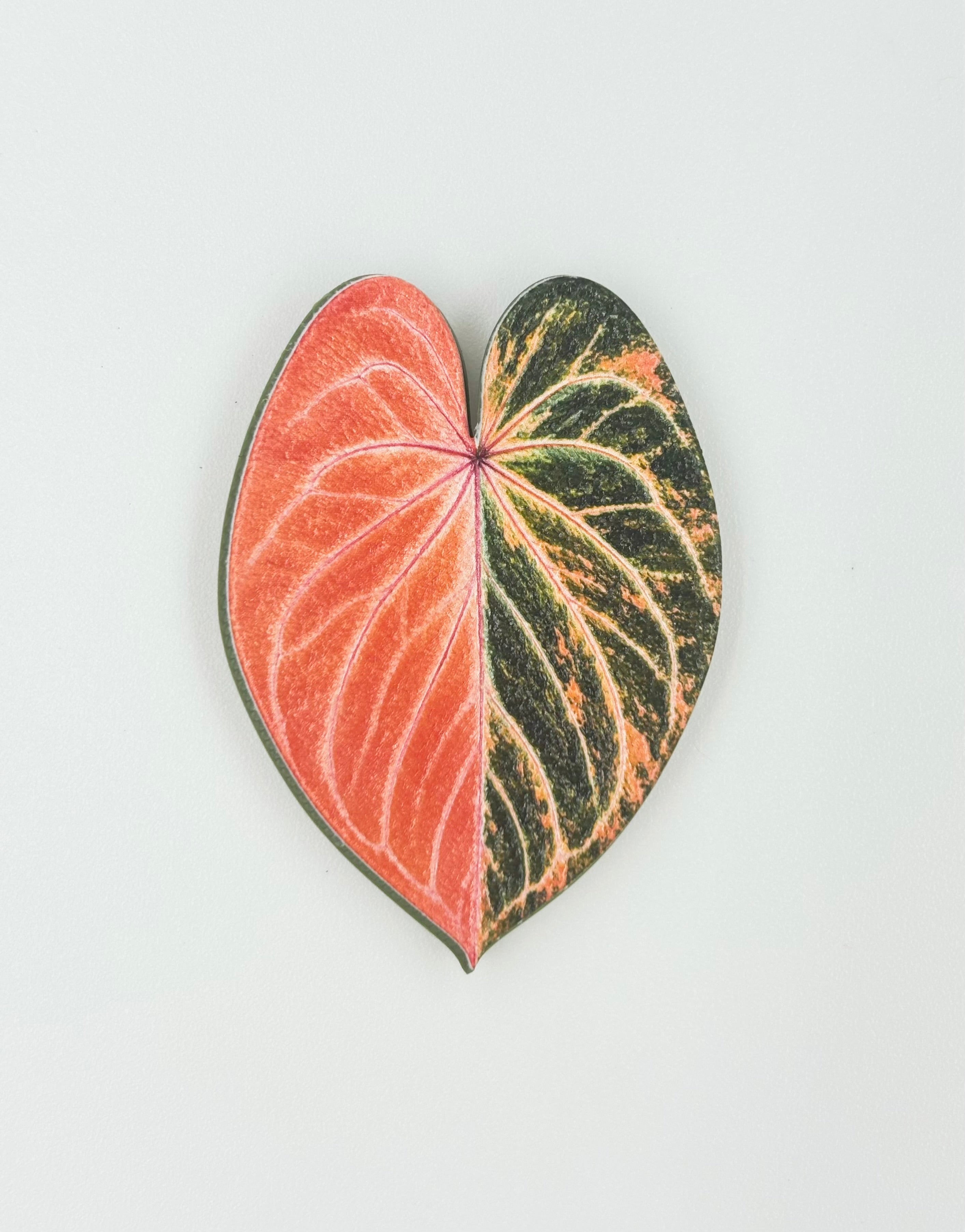 Tropical Leaf Magnet — Anthurium Series