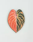 Tropical Leaf Magnet — Anthurium Series