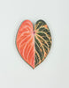 Tropical Leaf Magnet — Anthurium Series