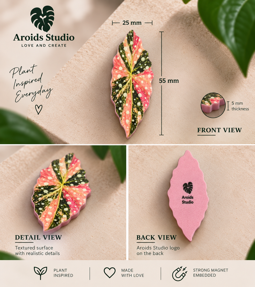 Tropical Leaf Magnet — Begonia Series