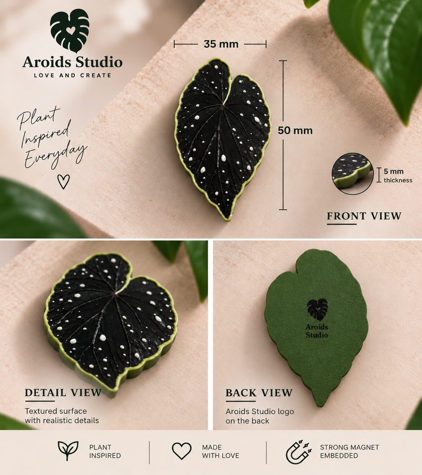 Tropical Leaf Magnet — Begonia Series