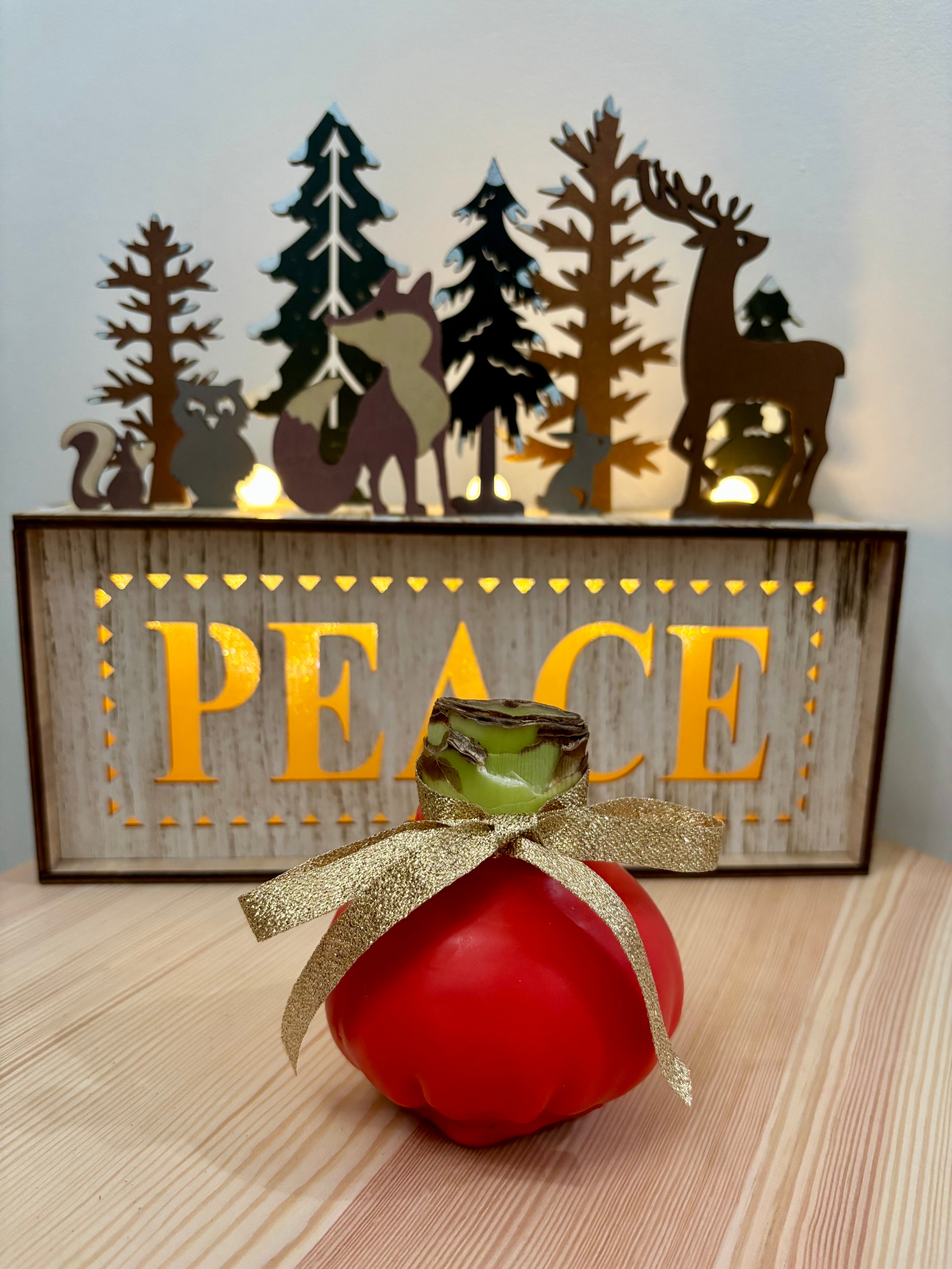Holiday Amaryllis Bulb Limited Edition -Free Gift Package