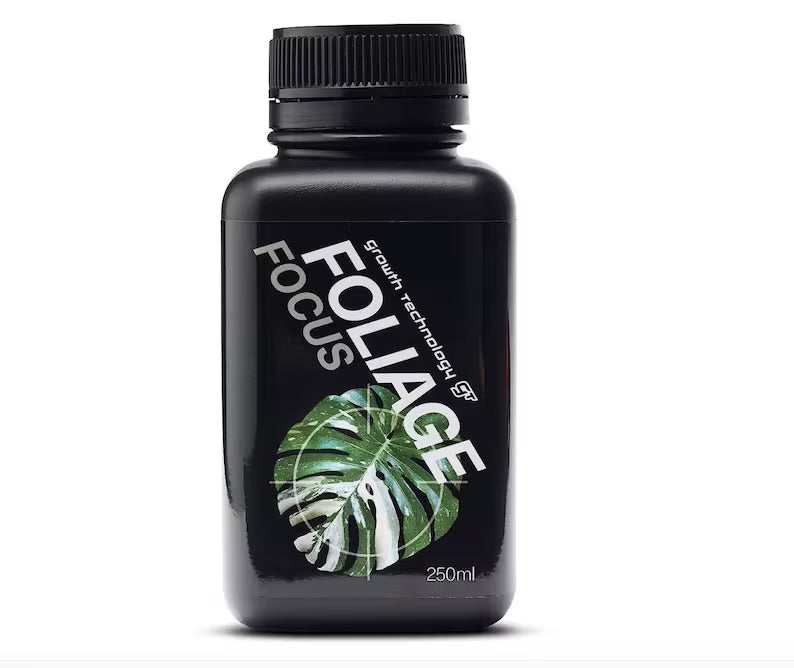 GT Foliage Focus
