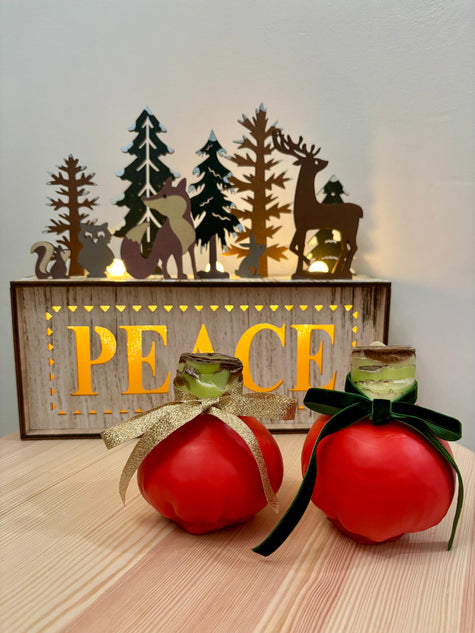 Holiday Amaryllis Bulb Limited Edition -Free Gift Package