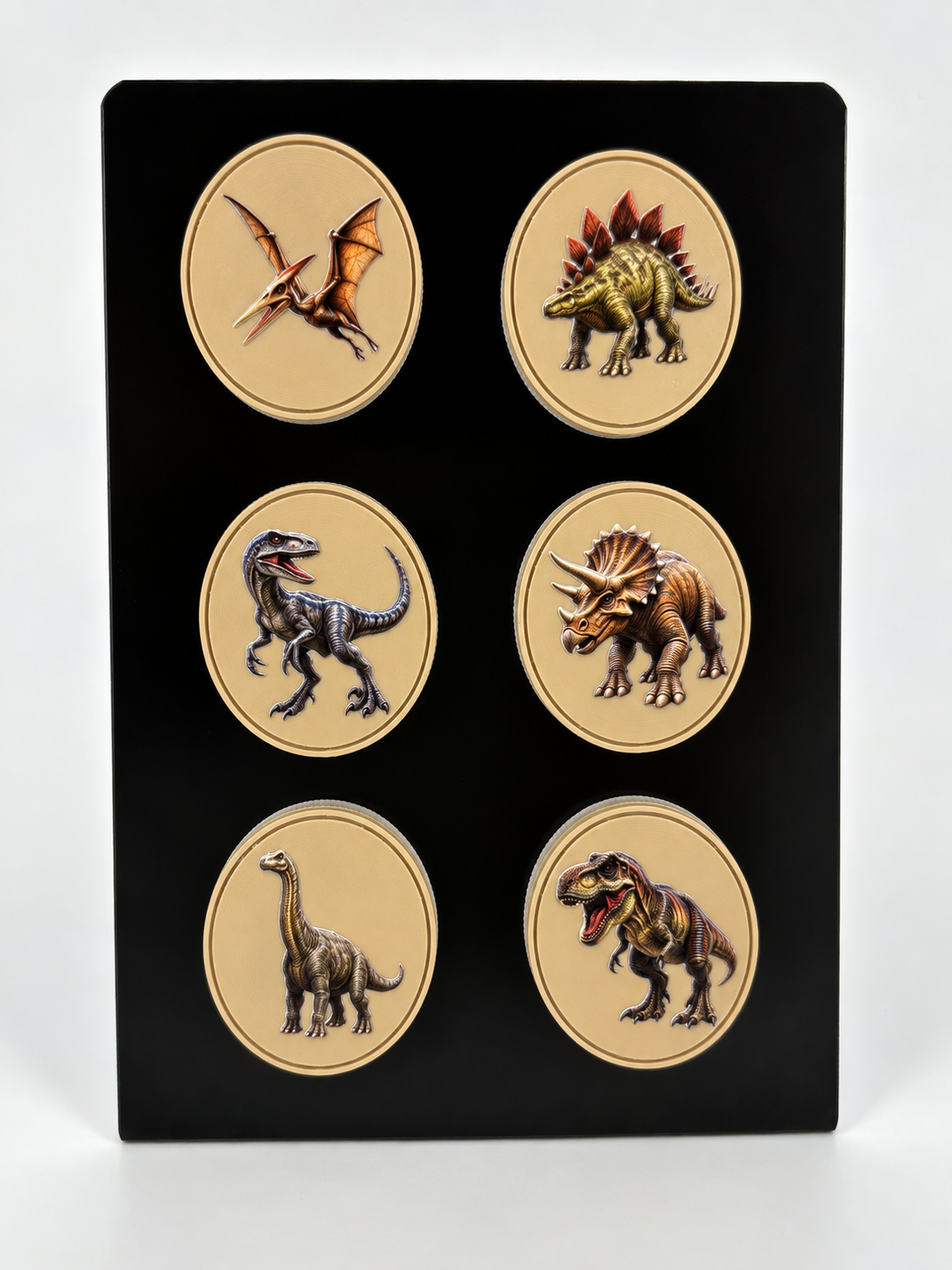 Dinosaur Fossil Magnet Collection - Set of 6 (Front Textured Color + Back Fossil)