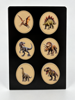 Dinosaur Fossil Magnet Collection - Set of 6 (Front Textured Color + Back Fossil)