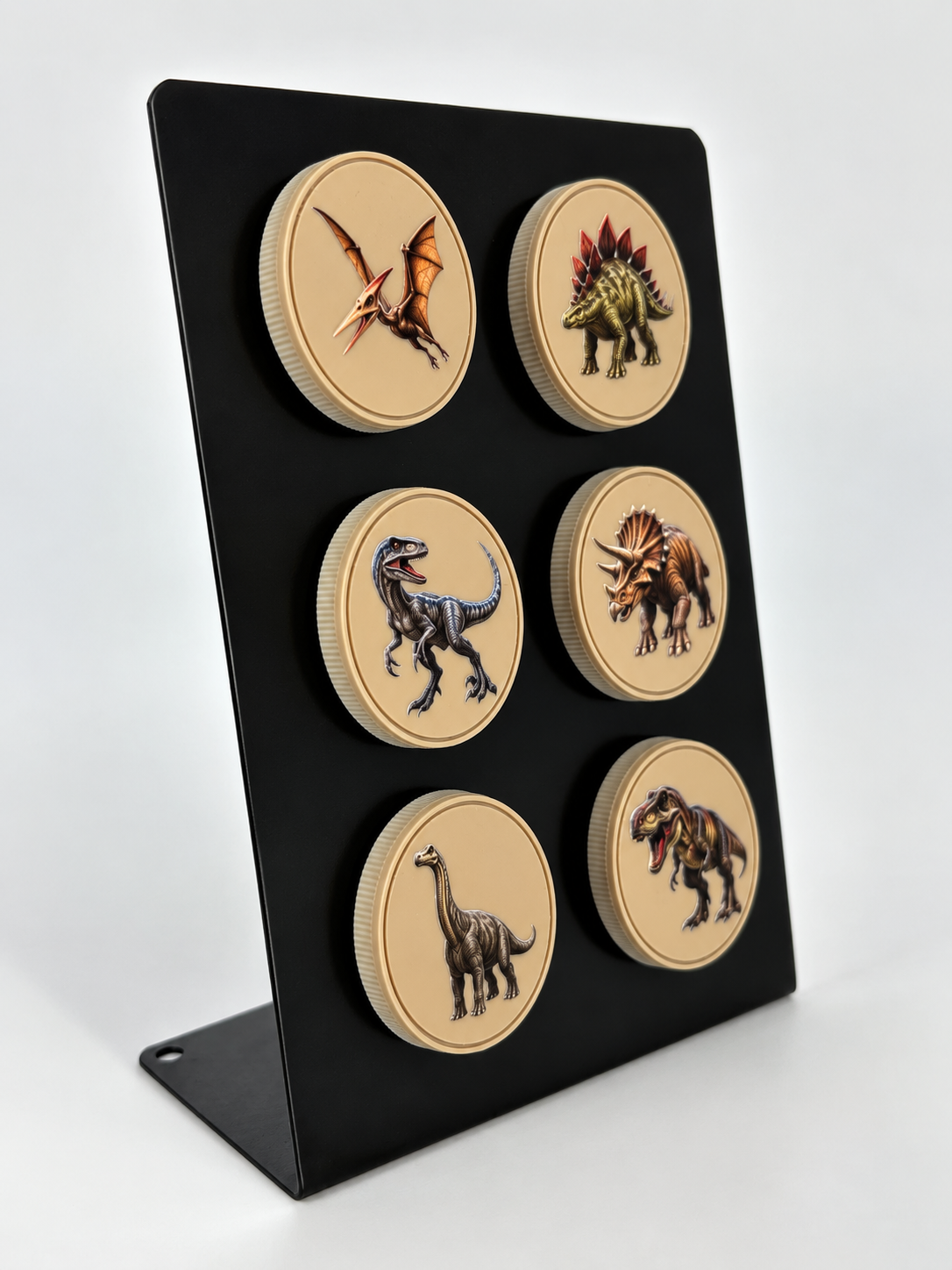 Dinosaur Fossil Magnet Collection - Set of 6 (Front Textured Color + Back Fossil)