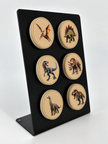 Dinosaur Fossil Magnet Collection - Set of 6 (Front Textured Color + Back Fossil)